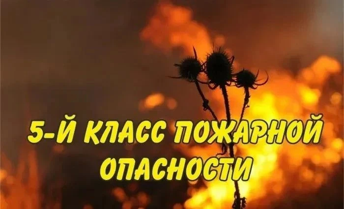 Внимание!