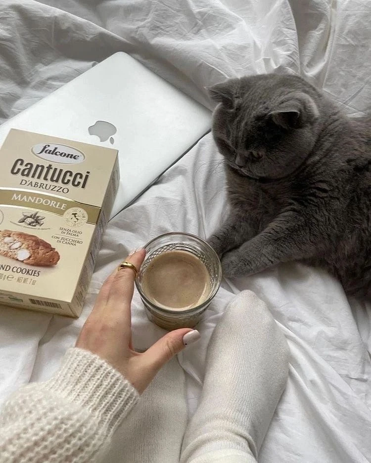 Не нужно думать, что момент упущен.