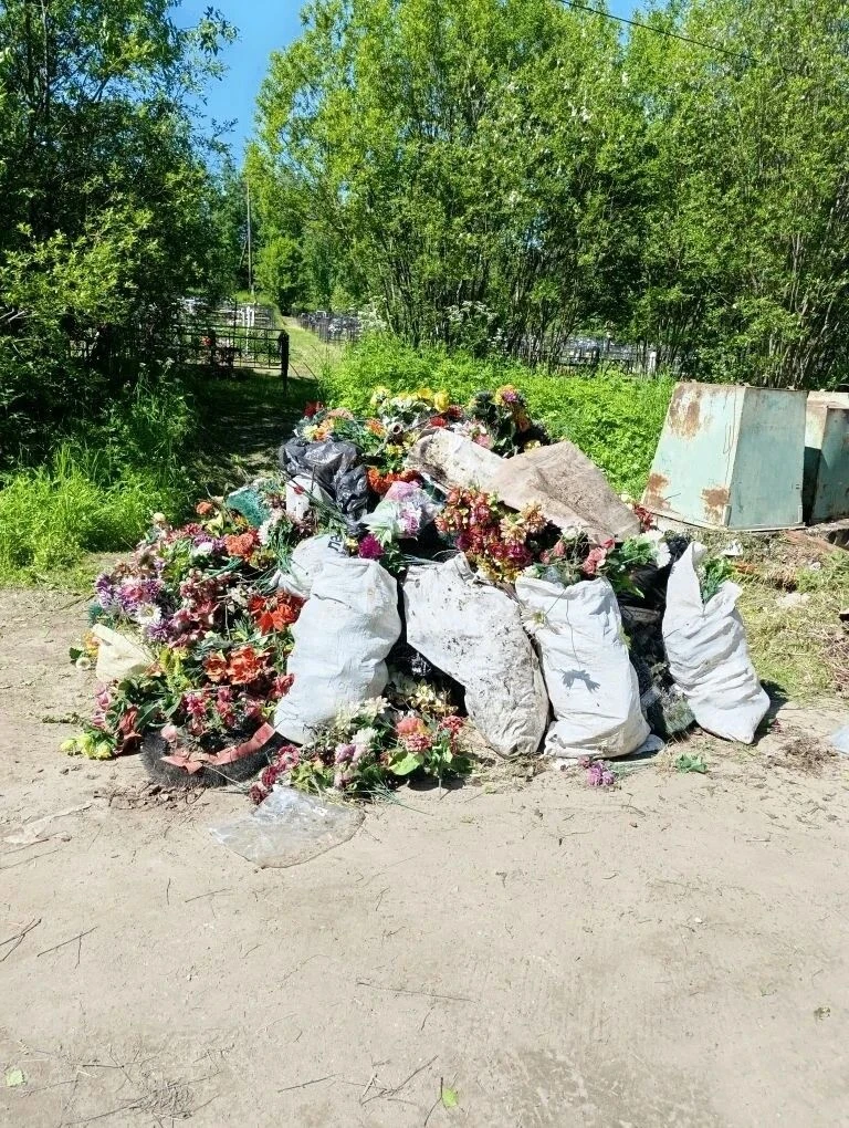 Уважаемые жители и гости села!

В этом году в рамках регионального проекта «Комфортное ПОМОРЬЕ» план