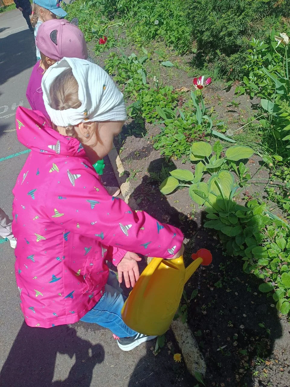 🌍 День защиты окружающей среды 🌱