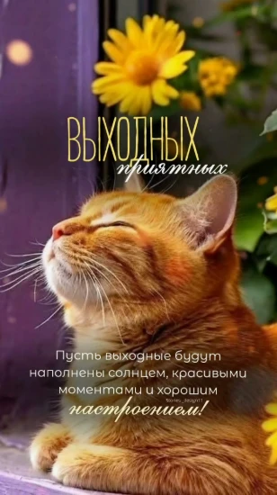 😊С пятницей, друзья!  Пусть выходные будут наполнены солнцем, красивыми моментами и хорошим настроен