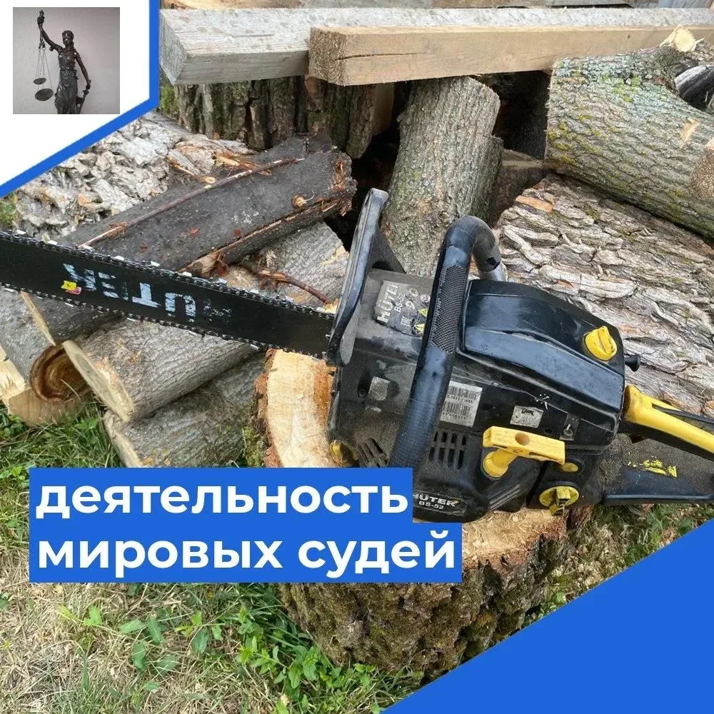 На дворе трава, на траве дрова. Не убрал со двора дрова, их украли на раз-два!

Жительница Завьяловс