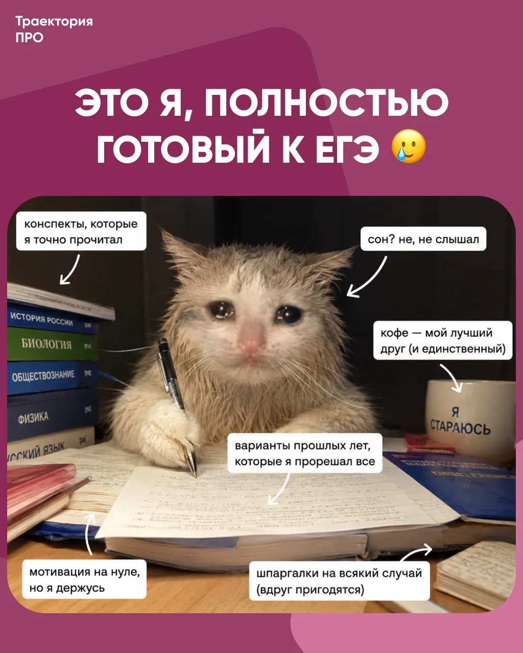Когда говорят: «Не переживай, ты же готовился весь год».