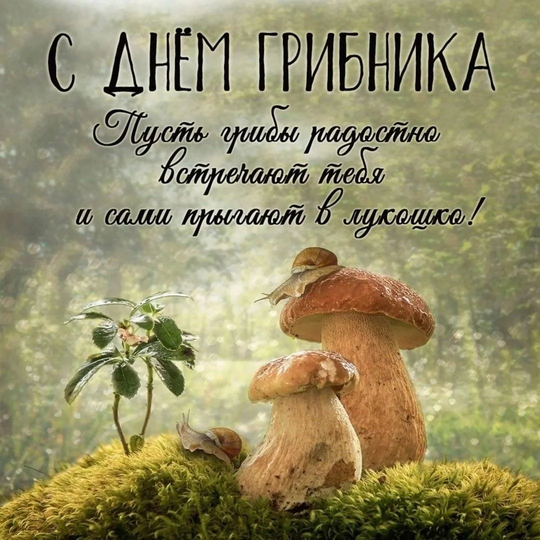 #ПраздникСегодня 🍄‍🟫