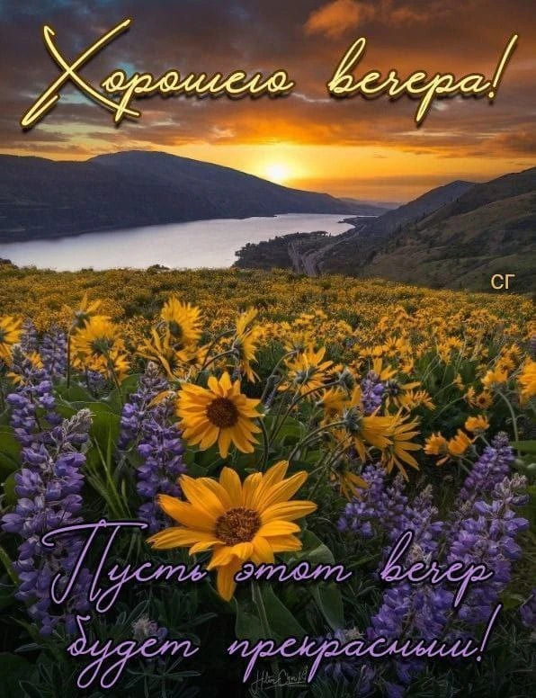 💜🔶🌿💜🔶🌿💜🔶🌿

Желаю доброй, тихой и спокойной ночи. 
Желаю улечься поудобней, вспомнить всё хо