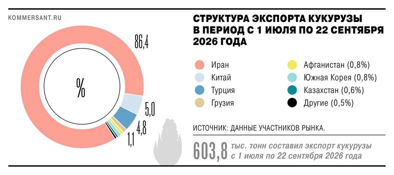 #зерно