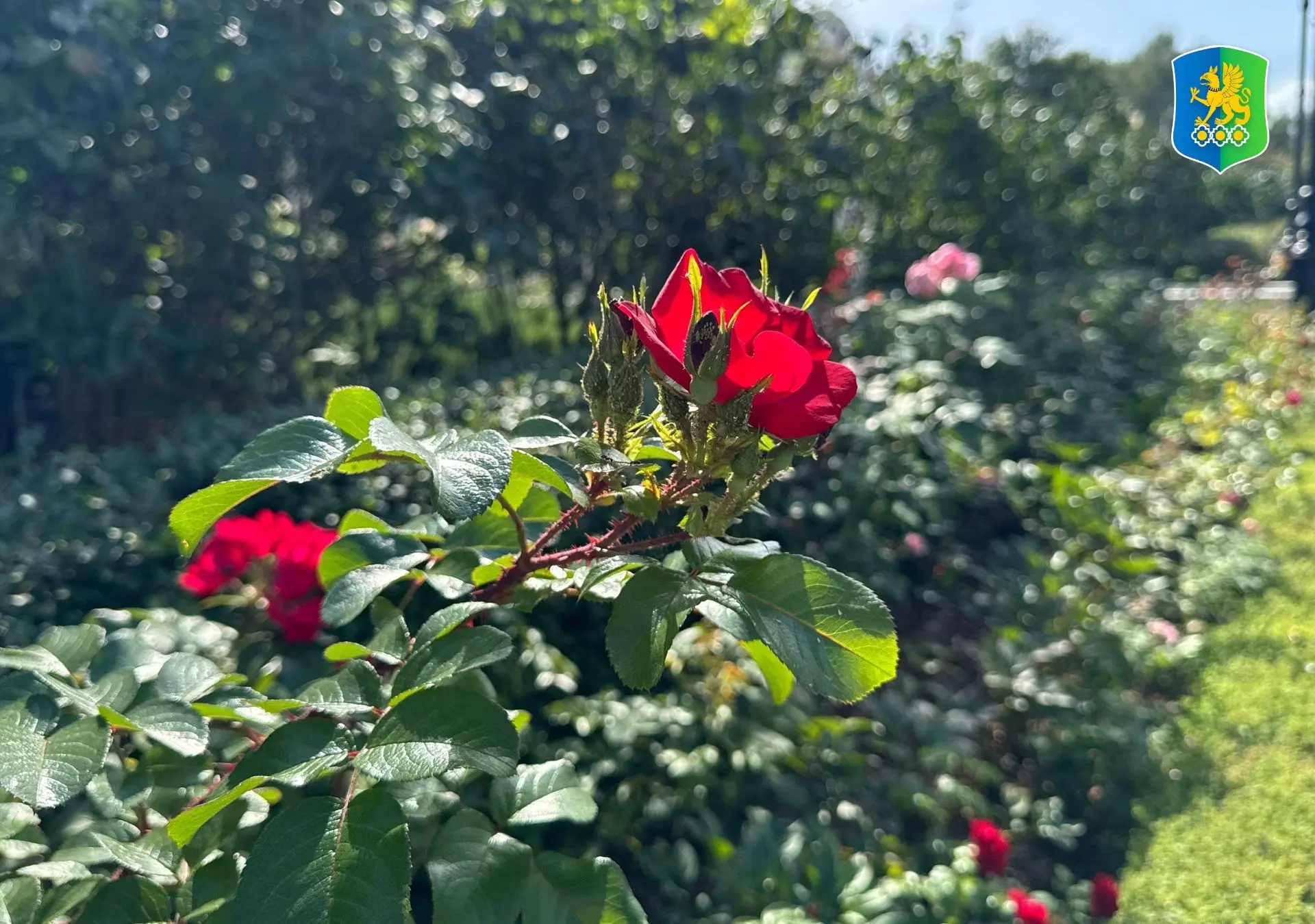 Доброе утро от УрГЭУ 🌻