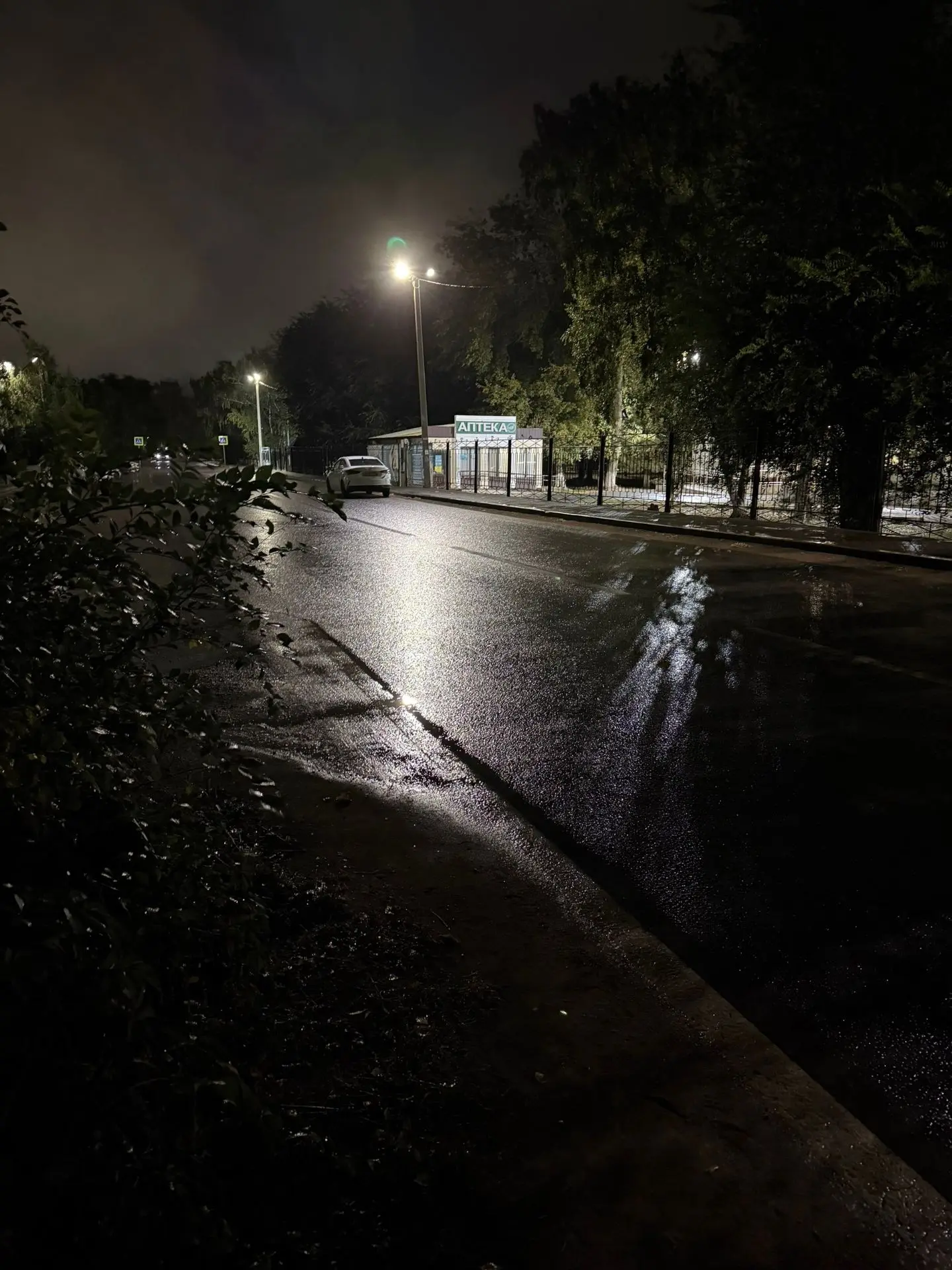 Гуляла вечером с собакой. Было темно, провалилась ногой в яму. Хорошо, что успела зацеп...