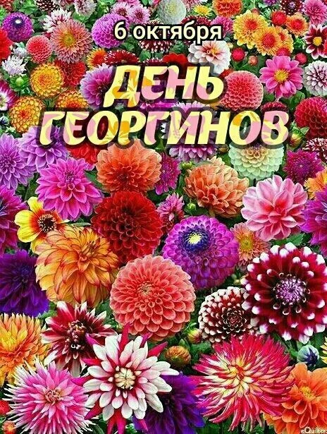 Наши каналы:
