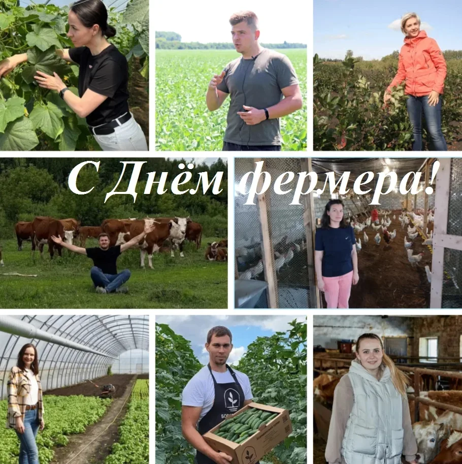 Уважаемые коллеги!