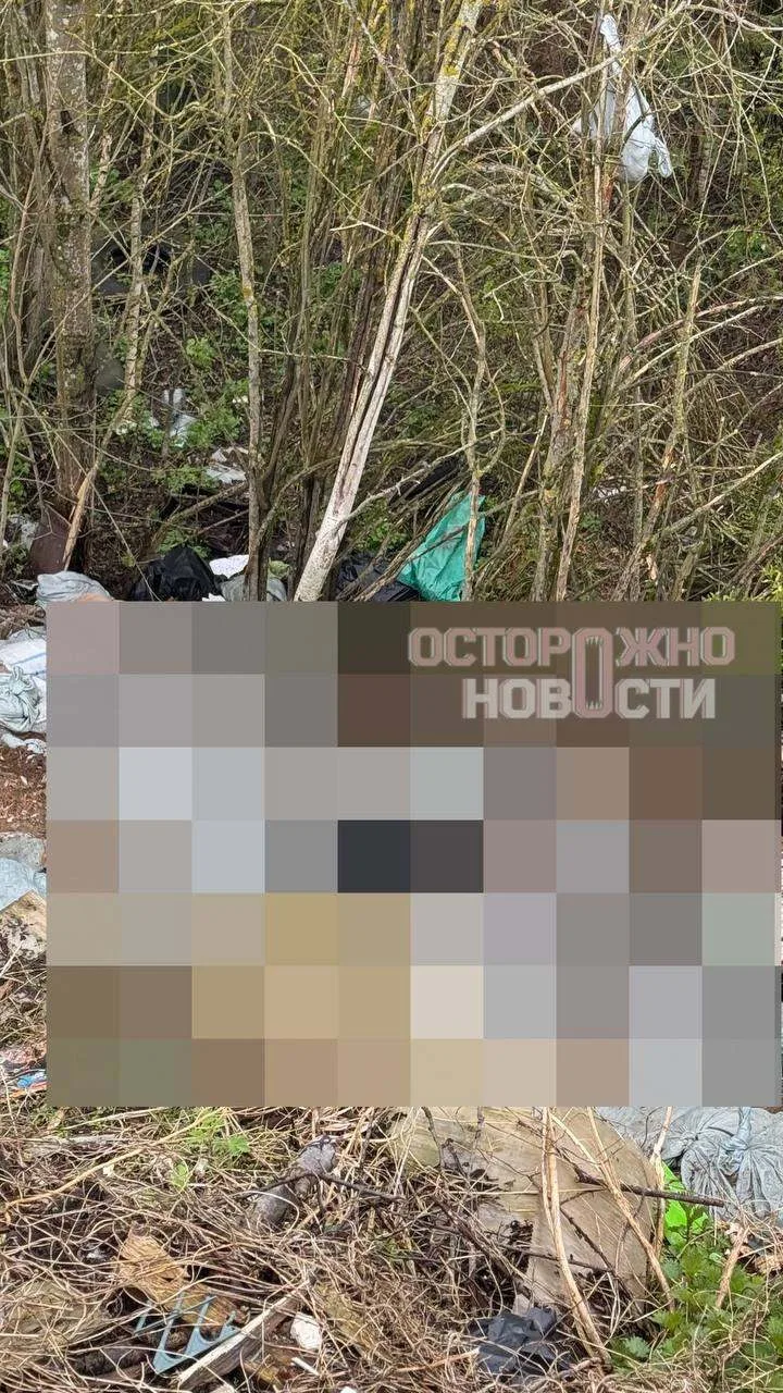 "В Переславль-Залесском округе обнаружены тела животных. Вместе с правоохранительными органами прове