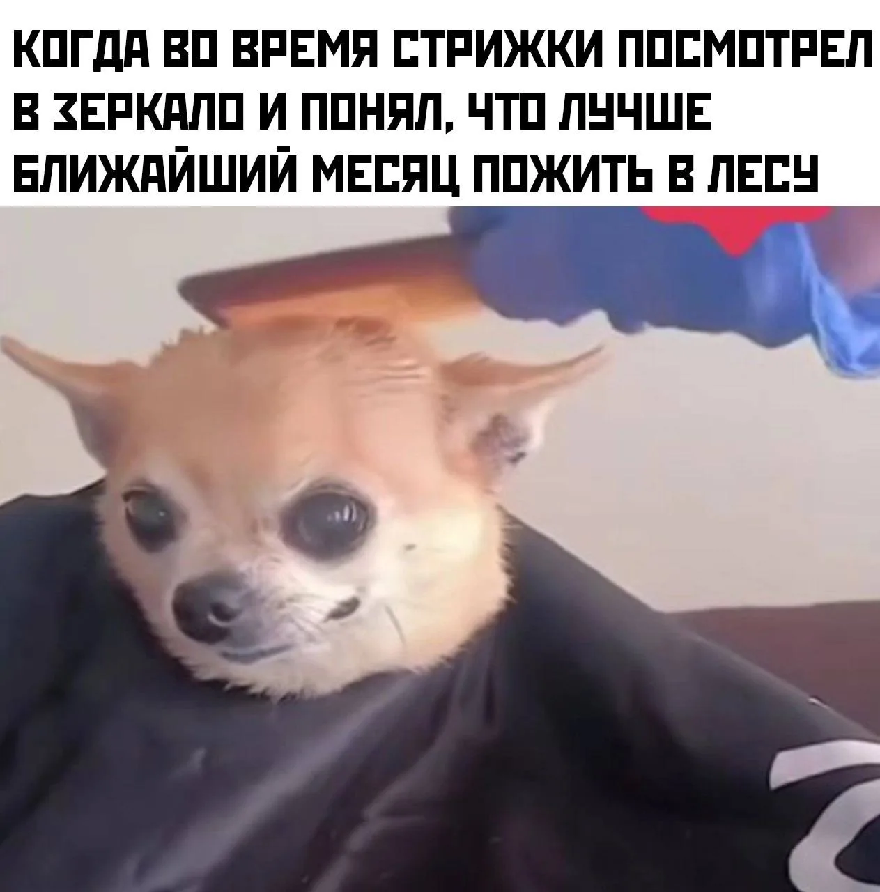 Изображение 1 к публикации «ОРУ НЕ МОГУ»