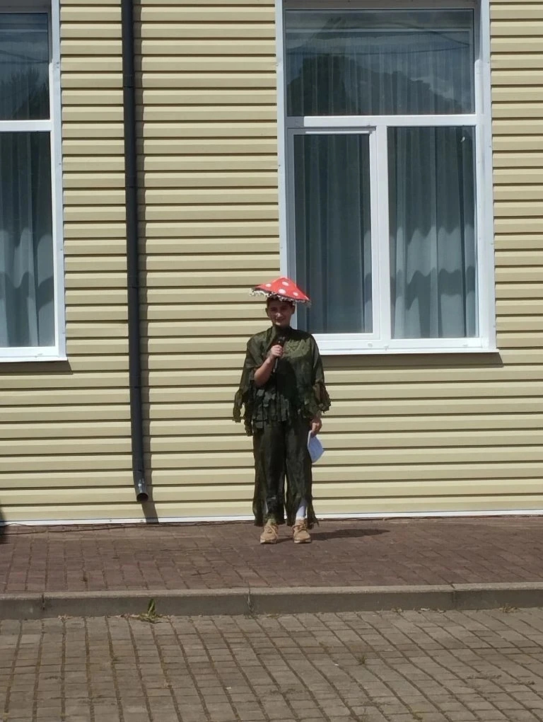 Видео