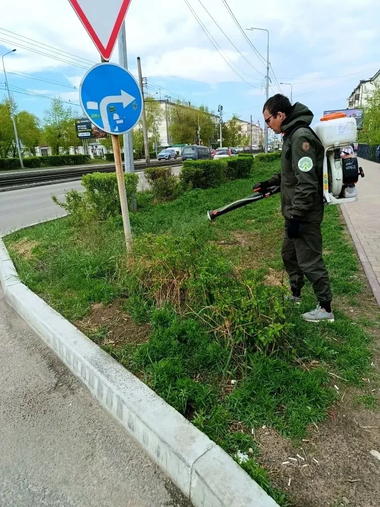 Сохранить деревья здоровыми и устойчивыми к заболеваниям – в Улан-Удэ идет обработка насаждений  🌿 П