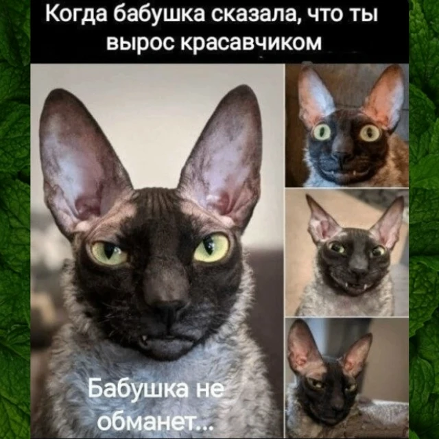 Анекдотик для бодрого настроения!