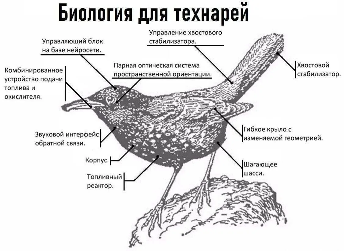 мы бы теперь сказали, что все предметы и для НЕтехнарей в Бауманке будут выглядеть прим...