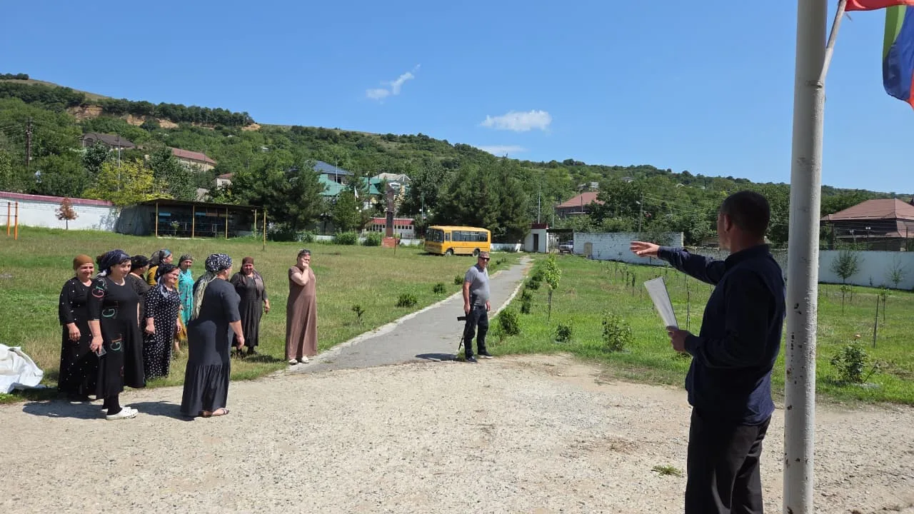 Видео
