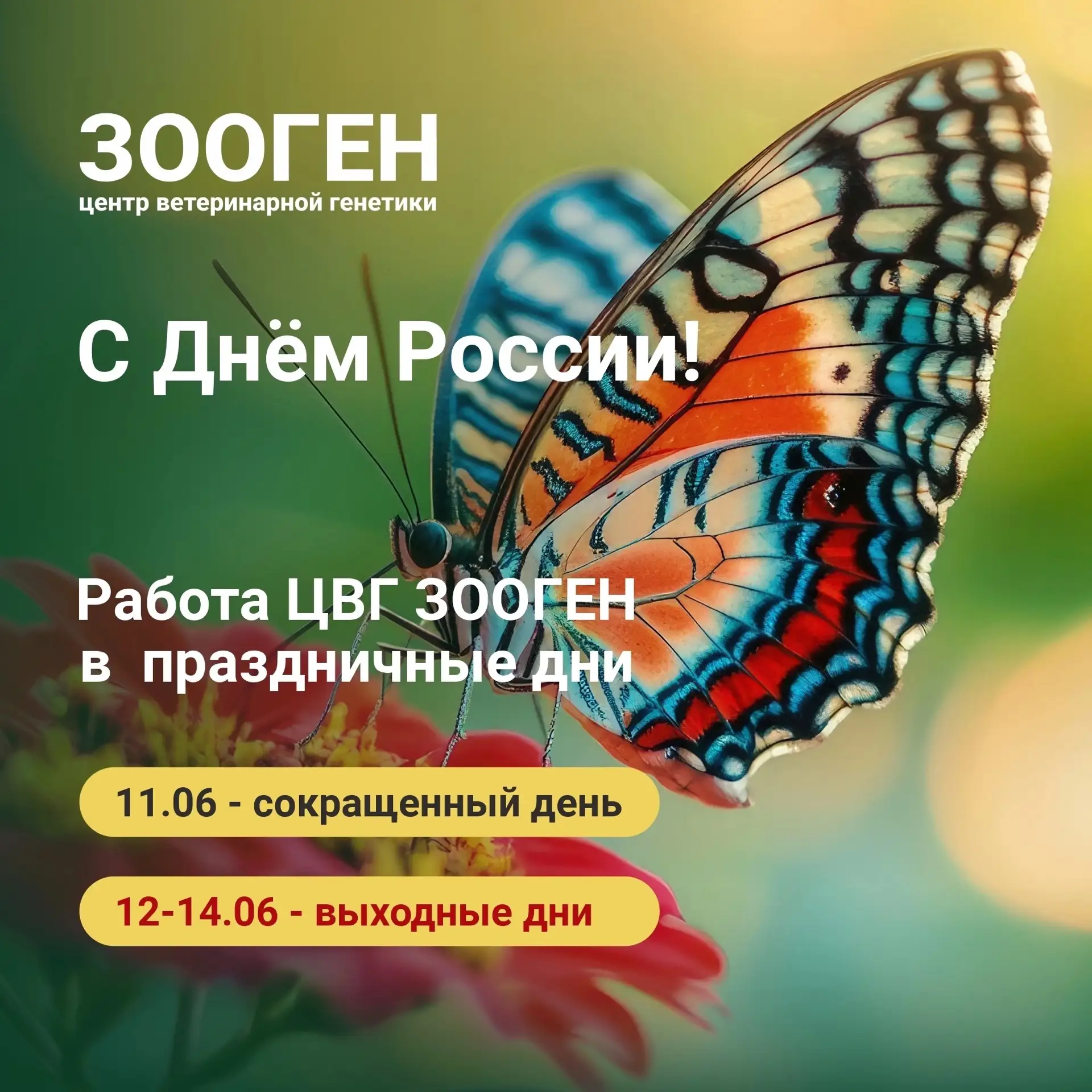 📢 Друзья, команда ЗООГЕН поздравляет вас с Днём России!