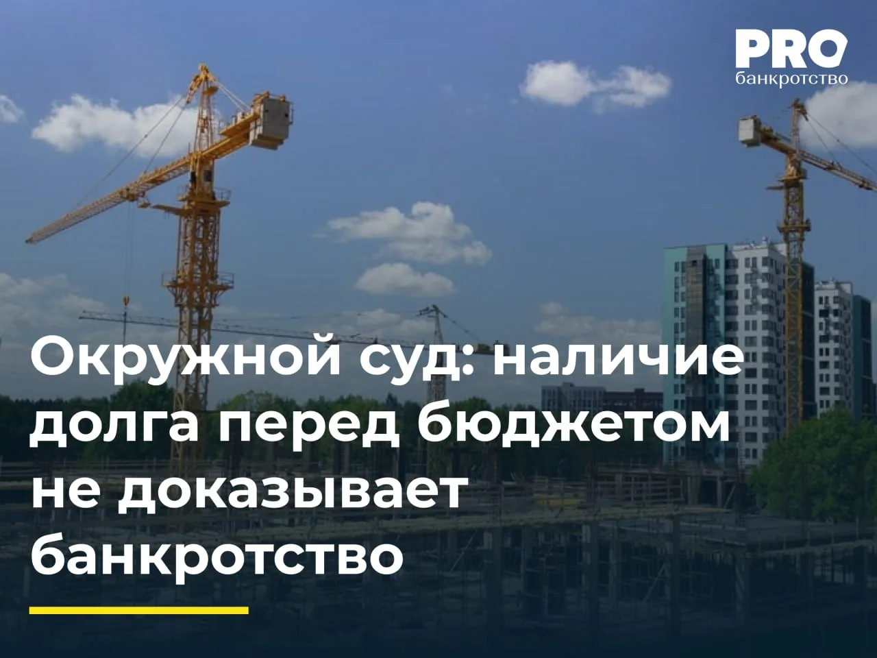 Окружной суд: наличие долга перед бюджетом не доказывает банкротство