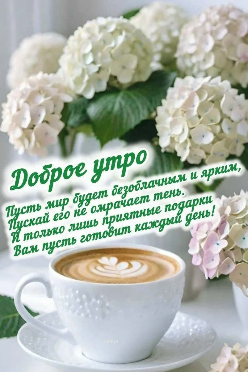 Пусть ваш день будет светлым и позитивным! 
Хорошего настроения! 🌞🌷