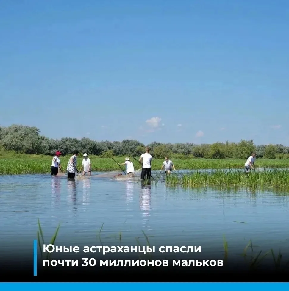 Активисты движения «Голубой патруль» помогают рыбной молоди в отшнурованных водоемах

Под руководств
