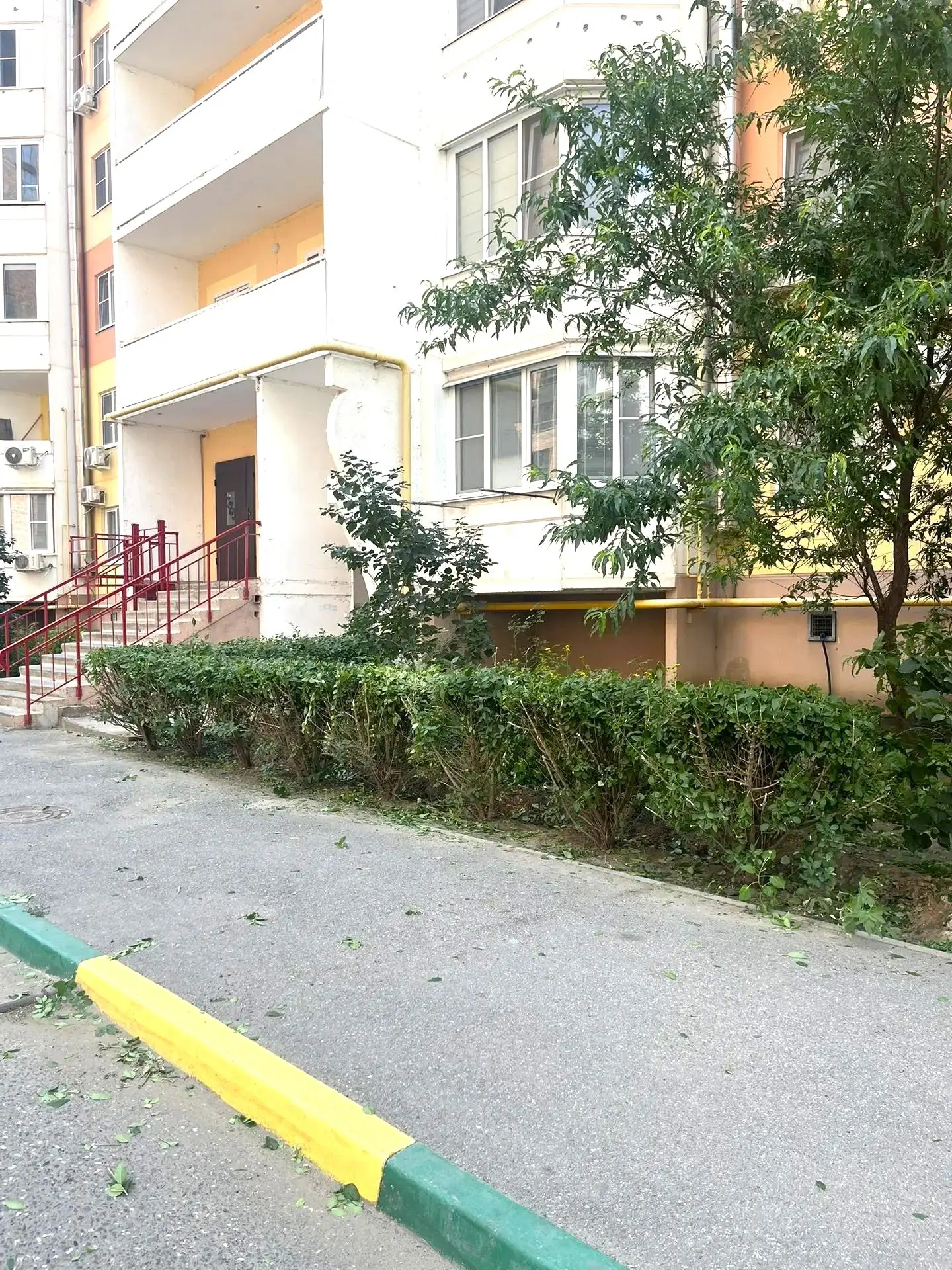 К новости «🌳 Летнее преображение»