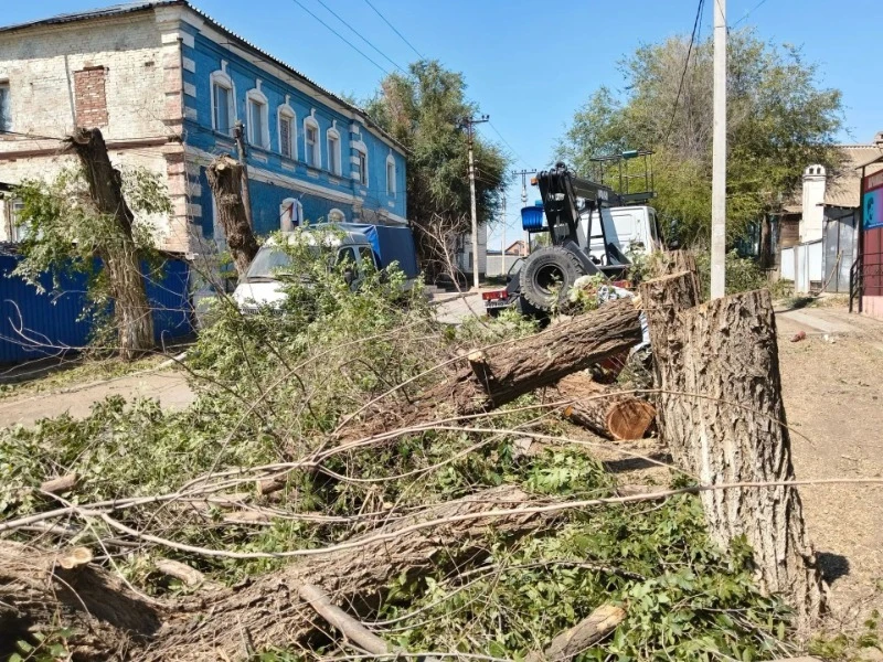 В селе Красный Яр убирают угрожающие ЛЭП деревья