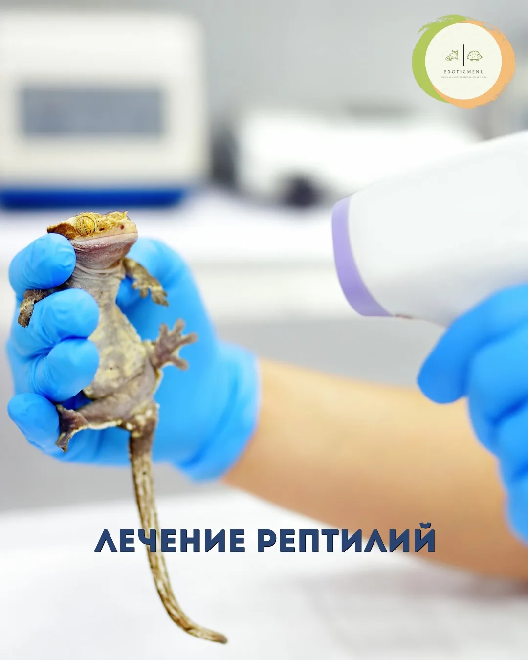 Что делать если диагностирован дефицит кальция?