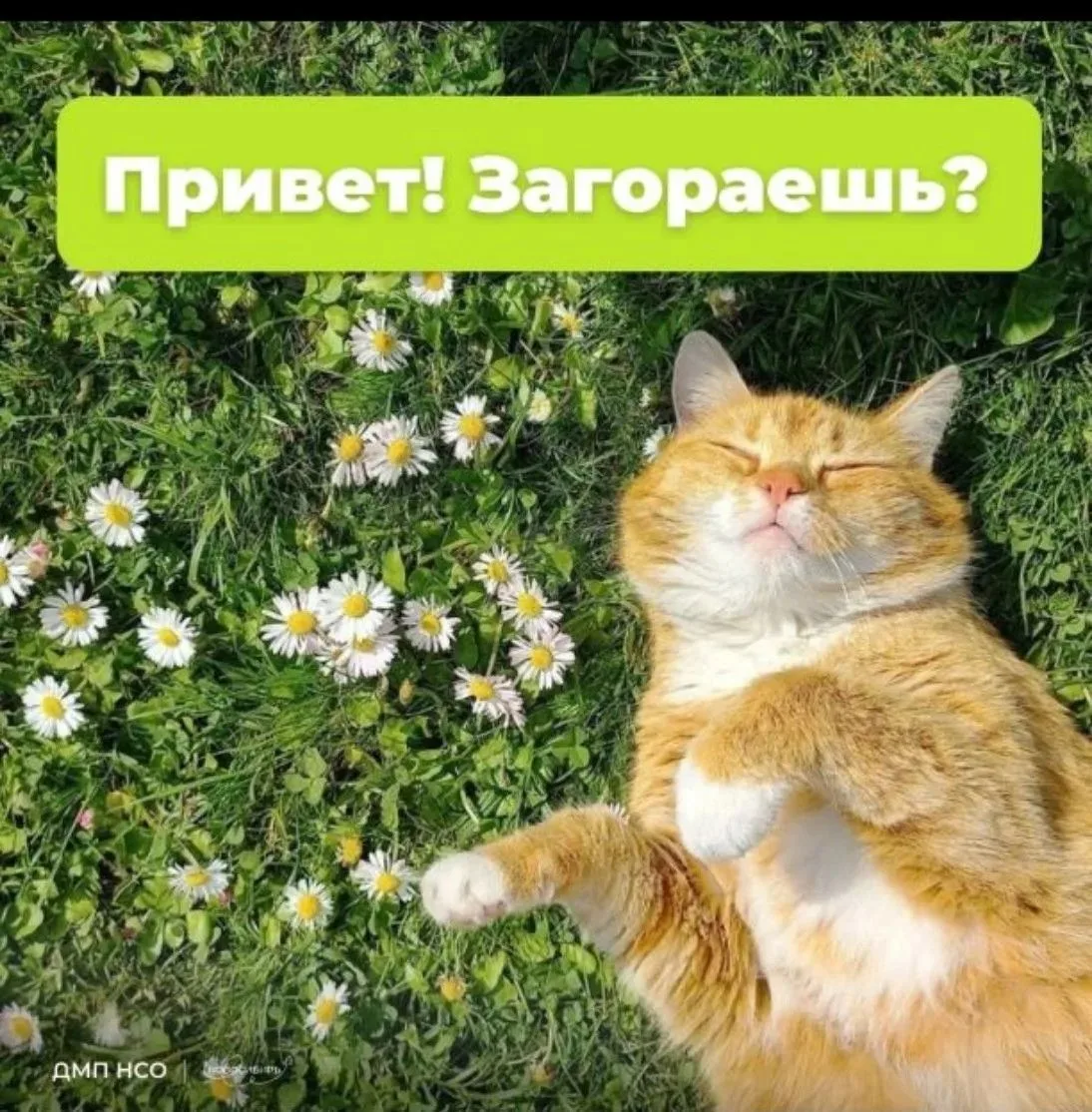 Пока ты ловишь лучи солнца, лови и шанс увидеть всю страну ☀️

Мечтать о путешествиях - это круто, н