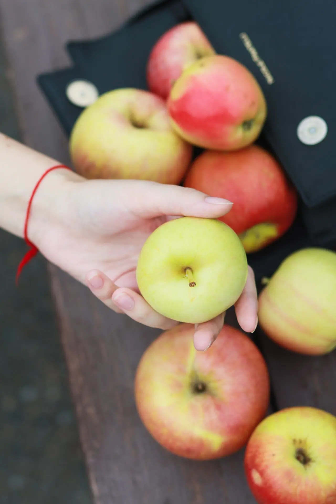Яблочный Спас: секреты сибирских яблок раскрыл ученый АлтГУ 🍎