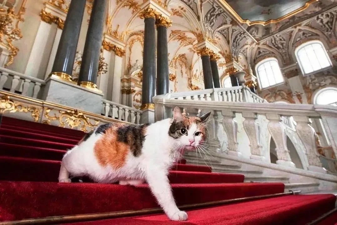 🐈‍⬛ В Эрмитаже отмечают День Эрмитажного кота.