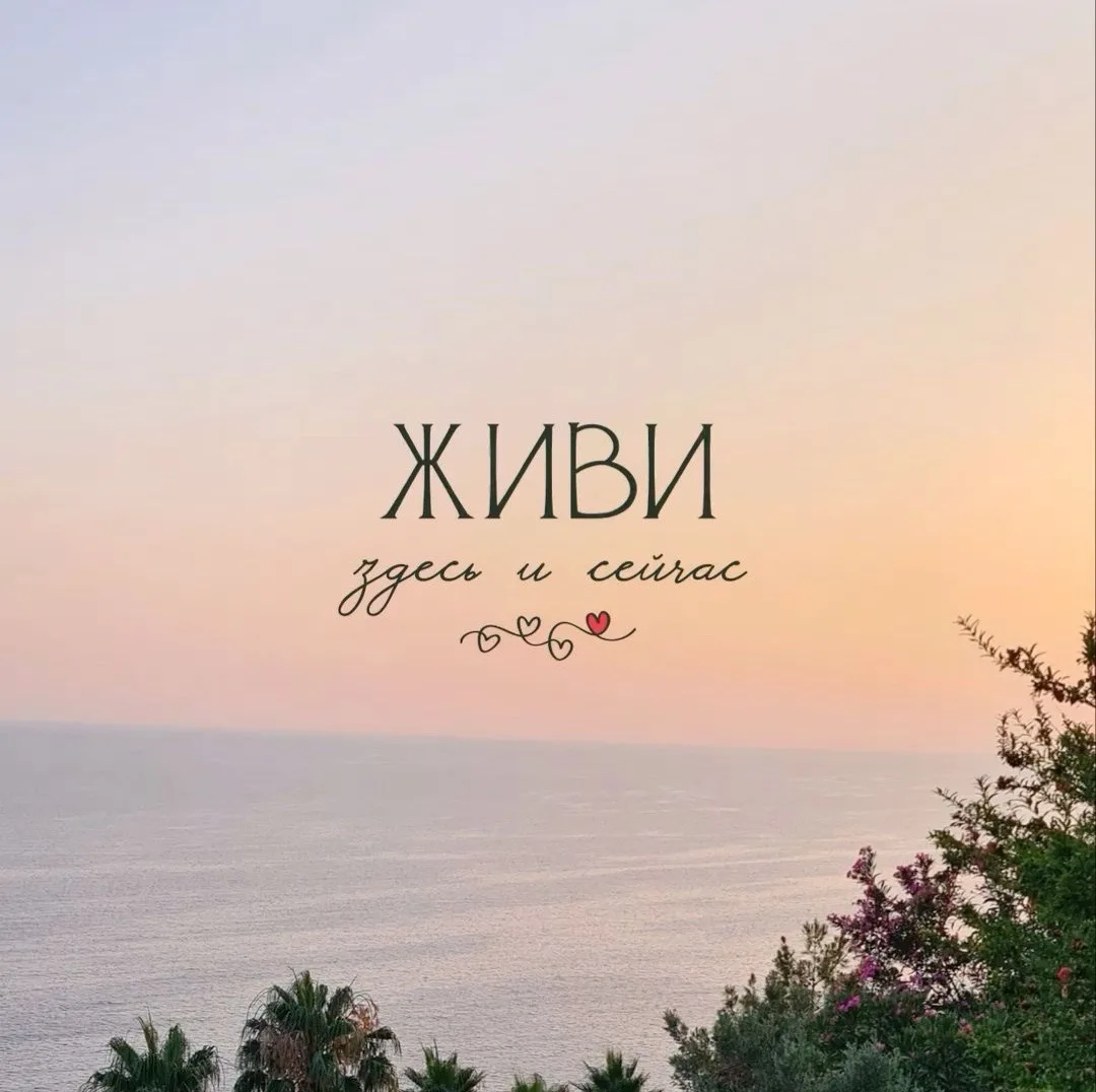 Твое Вдохновение 🥥
