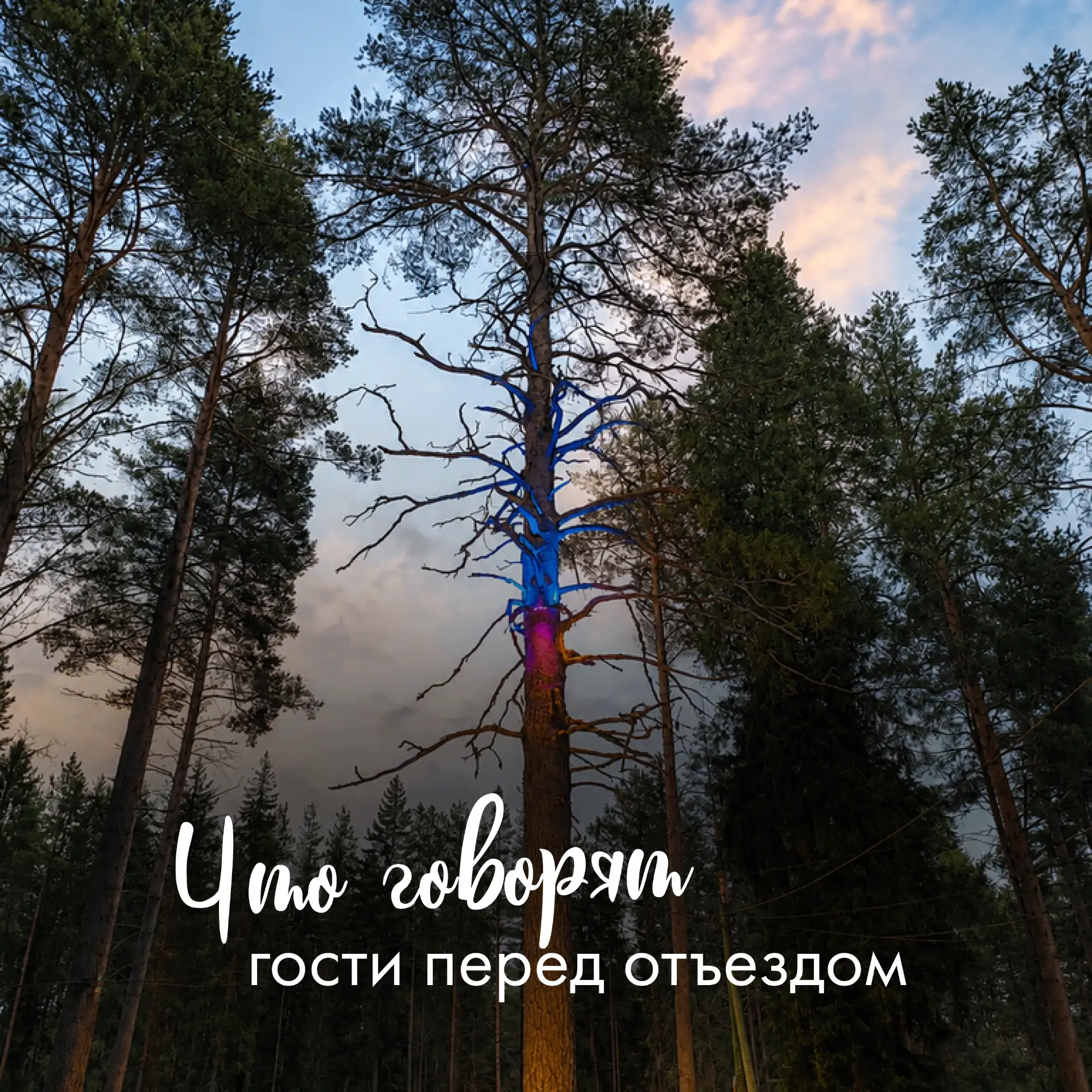 Что говорят гости перед отъездом 🤍