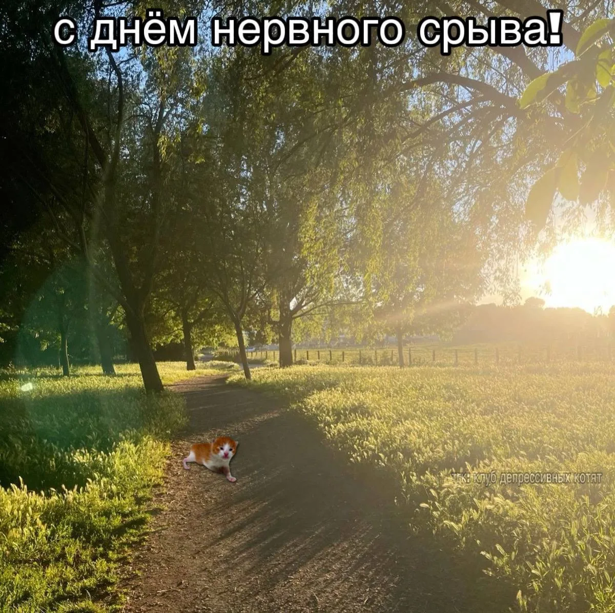 Поздравляю