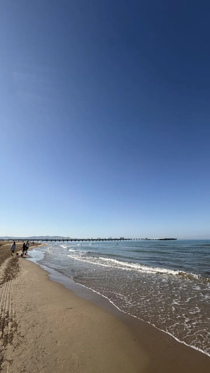 Ловим лучшее летнее настроение! 🏖️

Прямо сейчас за окном идеальная картина для тех, кто соскучился