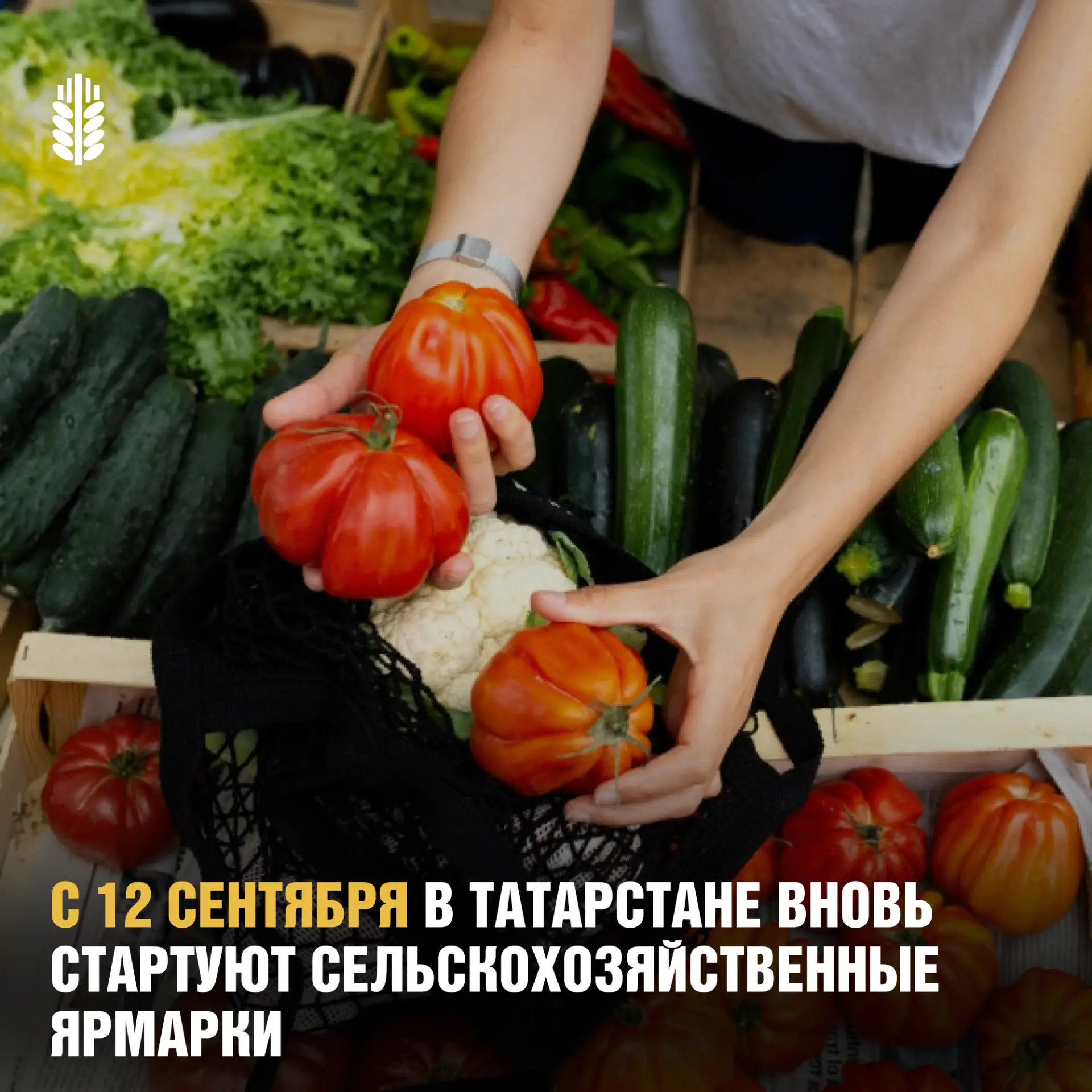 Сельскохозяйственные ярмарки возвращаются!