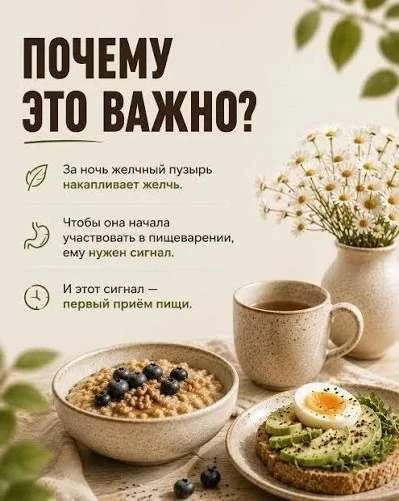 ПОЧЕМУ ЗАВТРАК ВАЖЕН для желчного пузыря?