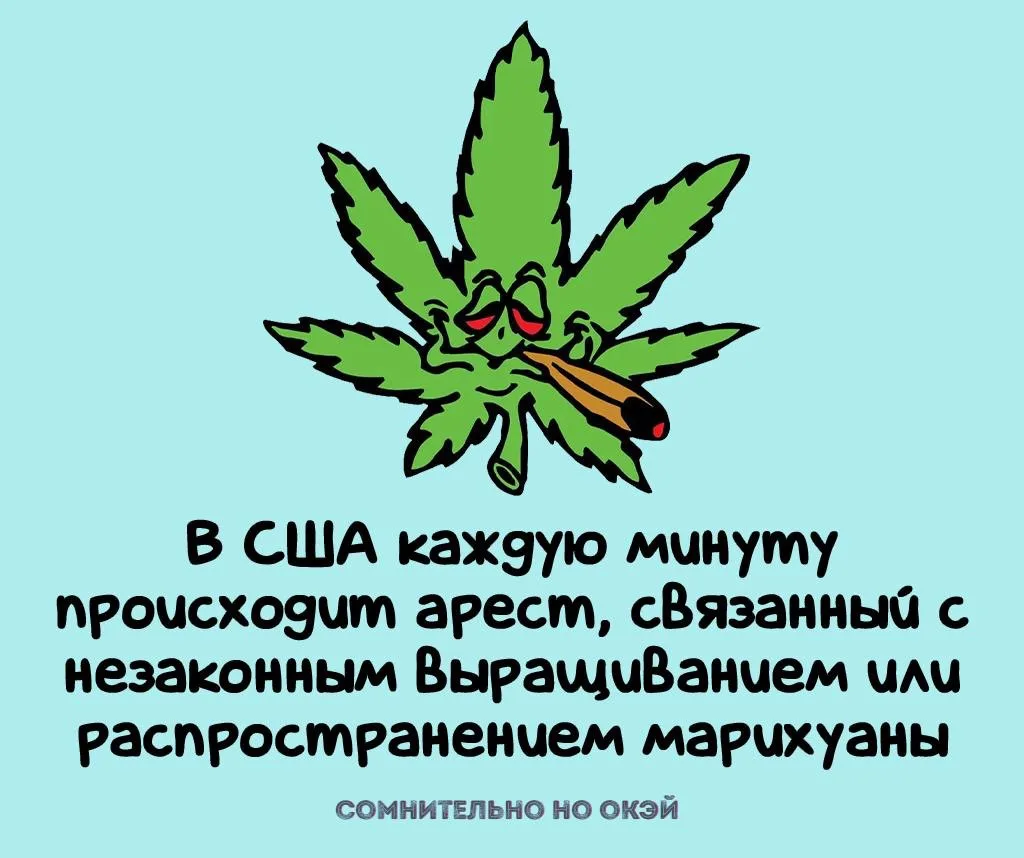 Признавайтесь, знали?