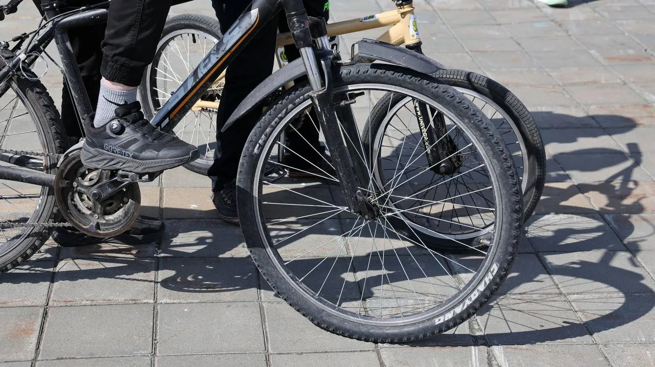 🚲 В автобусах Ямала официально разрешат бесплатный провоз велосипедов

Инициативу жителя Салехарда 