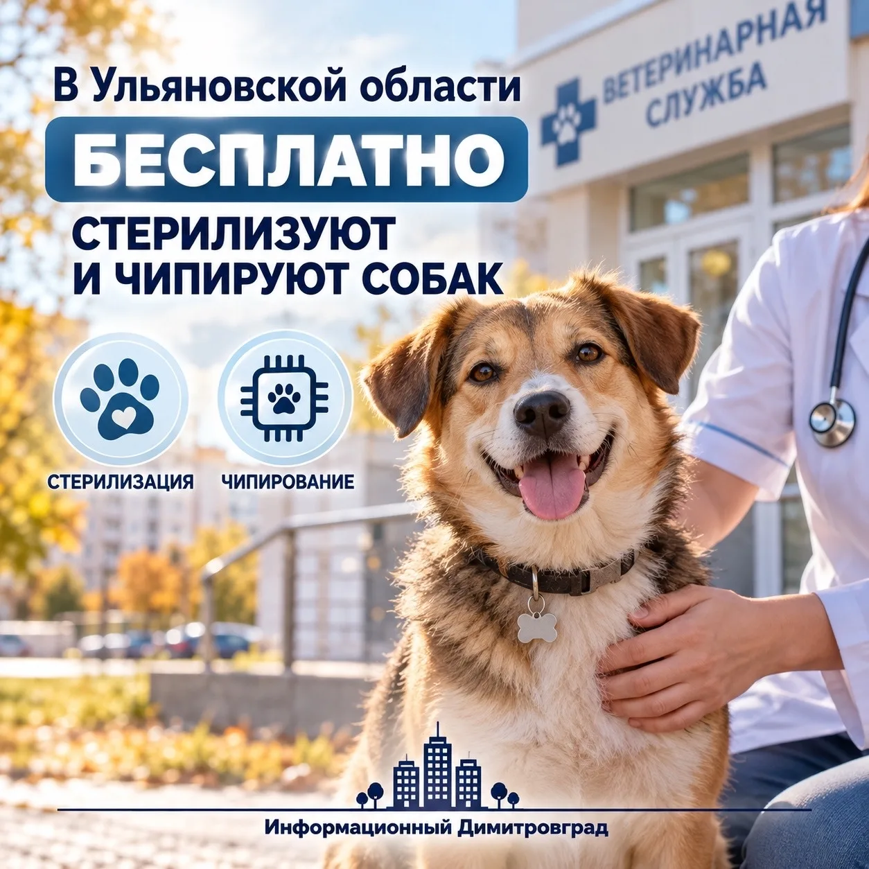 🔥 В Ульяновской области начнут бесплатно стерилизовать и чипировать собак