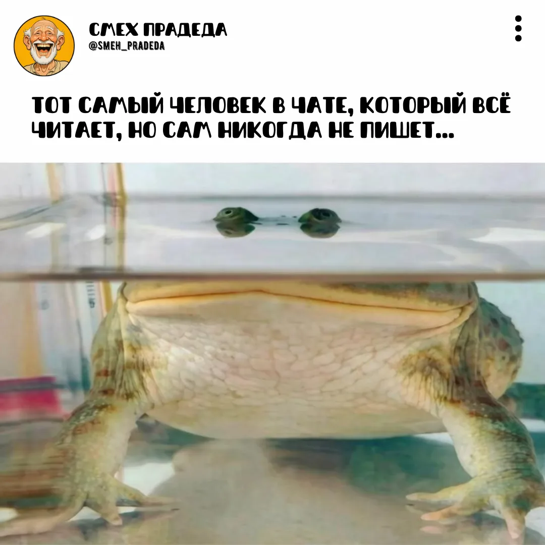 ~~~~~~~~~~~~