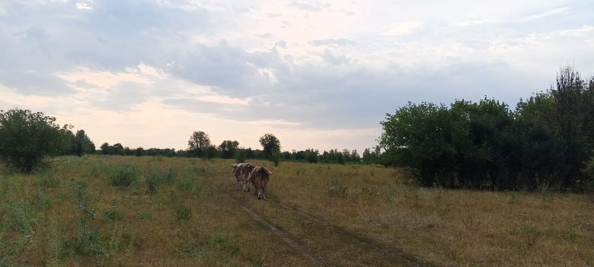 Доброе утро!