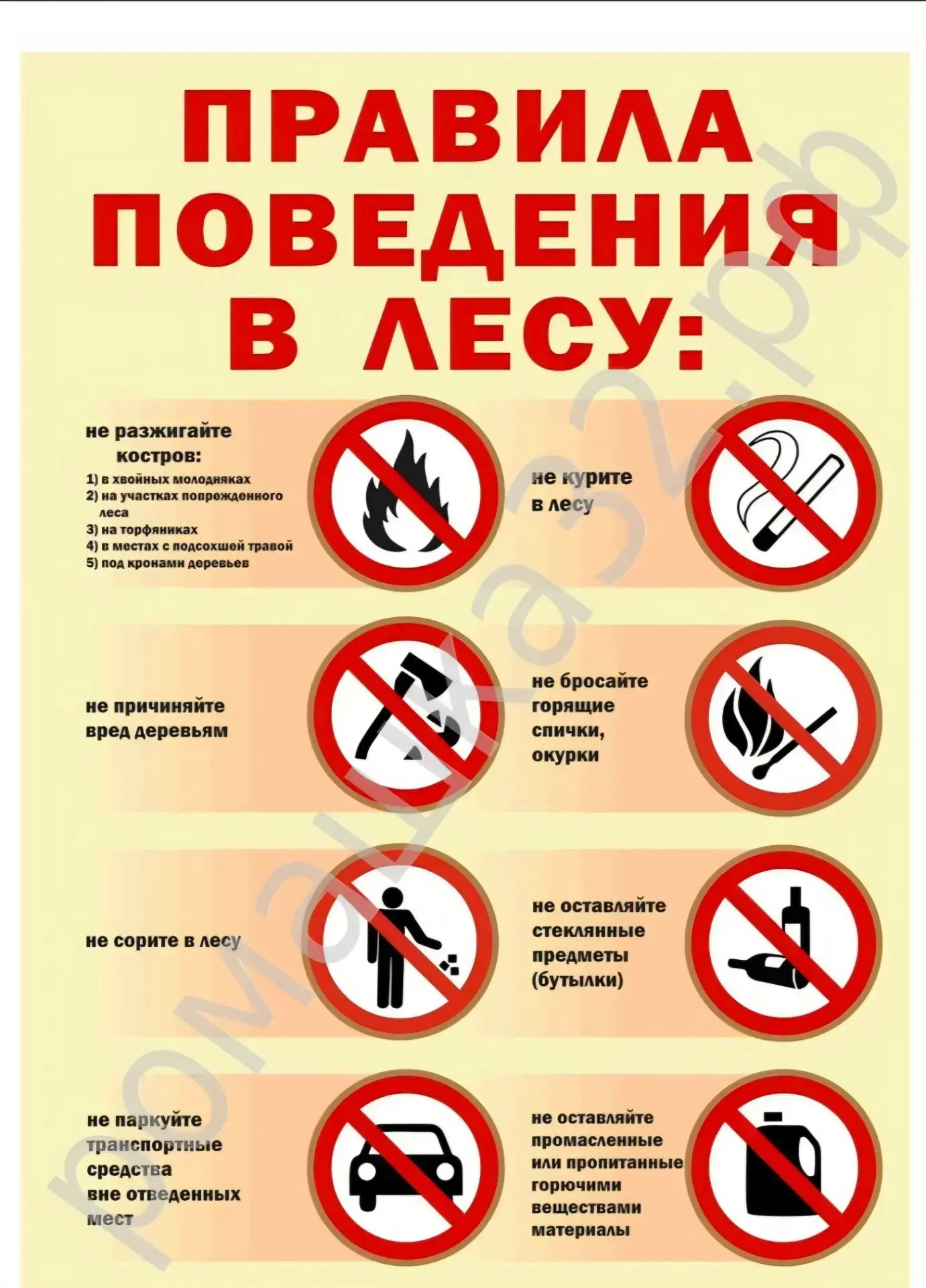 🌲🌳 Безопасность в лесу: правила, которые нужно знать каждому!