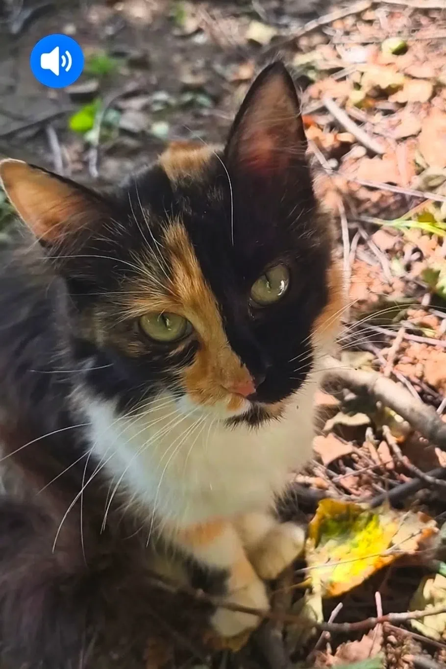 Хэппи‑энд, которого мы так ждали! ❤️