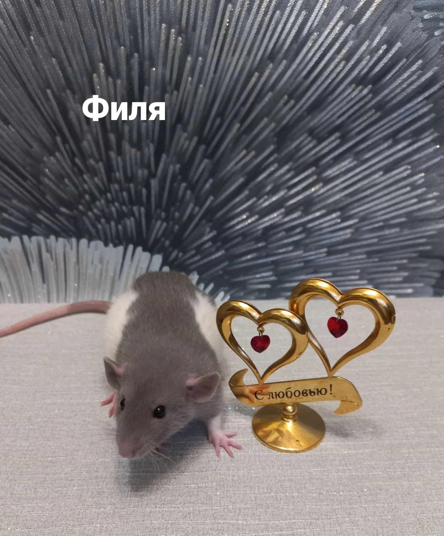 Зачем всё это нужно было?