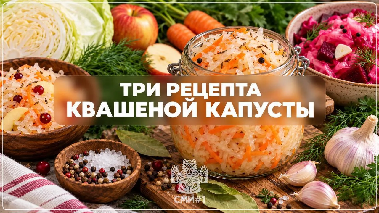 🥬 Сегодня отмечают День квашеной капусты