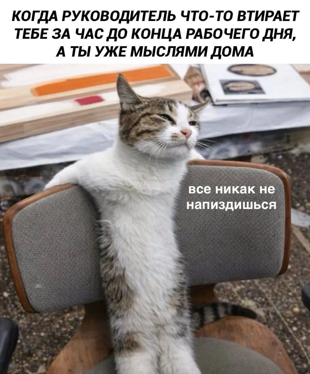 @office_story