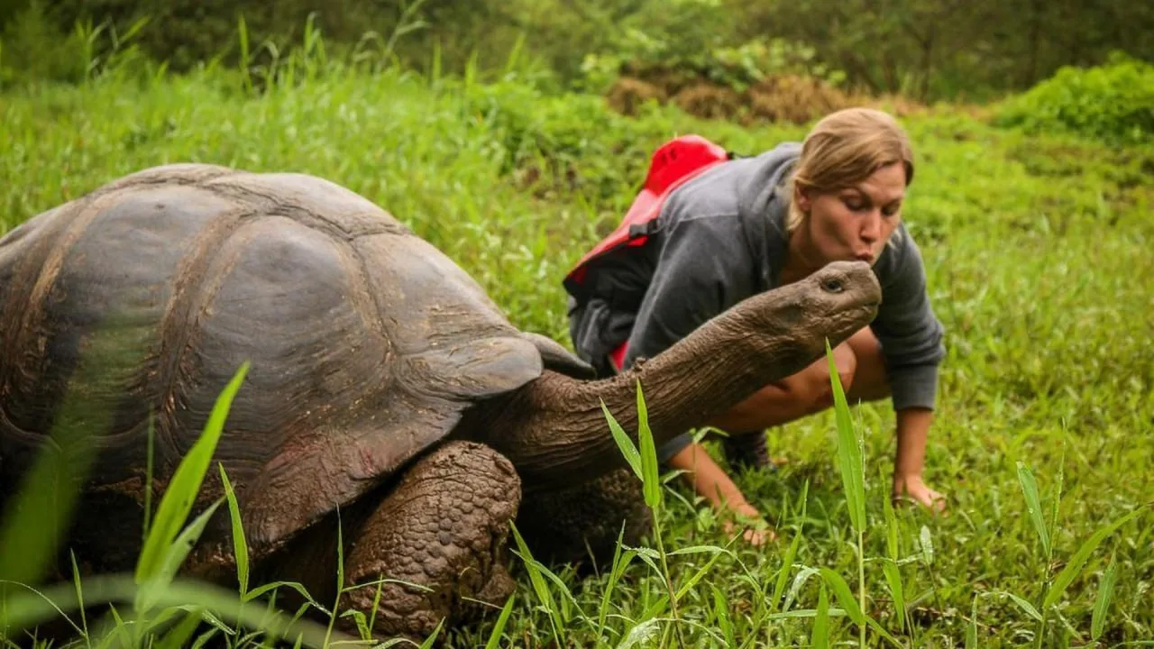 🐢 Галапагосские острова — архипелаг, вдохновивший Чарльза Дарвина

Галапагосские острова — один из 