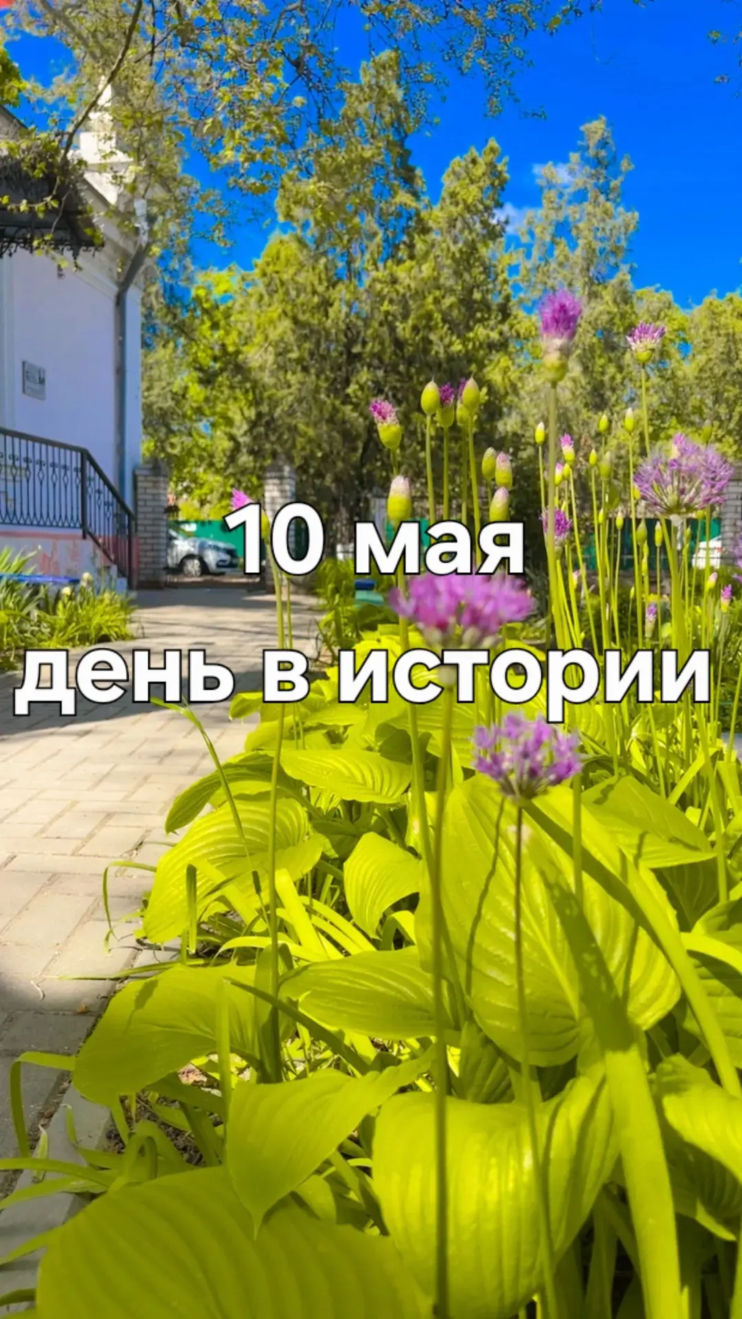 А знаете ли вы, что ❓