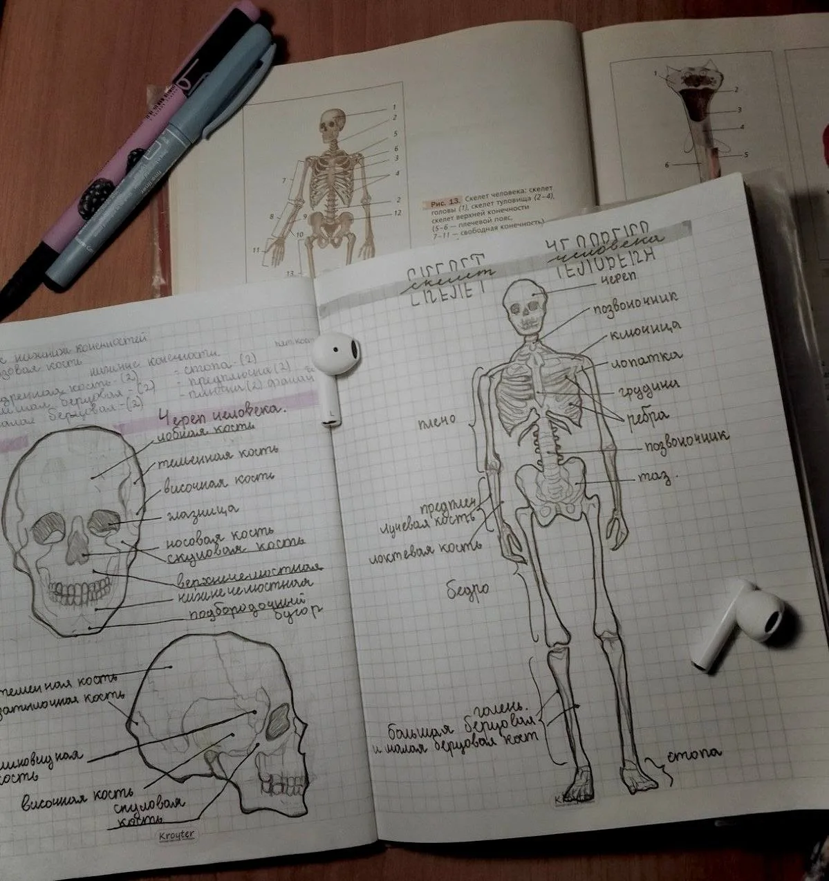 🩺 Учимся расшифровывать цифры давления!!  Когда ты видишь запись вроде 150/70, это два показателя:  